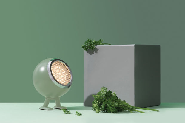 Norbitt LED Lamp - Herby Green